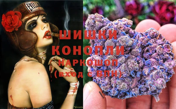 стаф Абаза