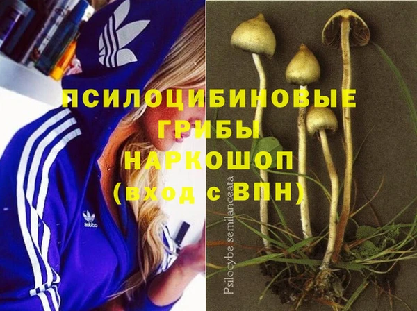 стаф Абаза