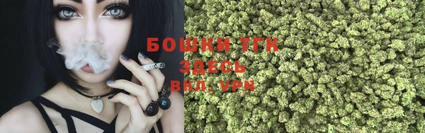 стаф Абаза