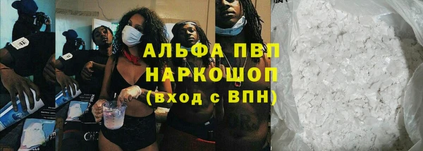 стаф Абаза