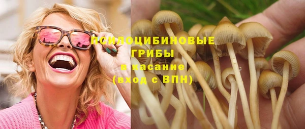 мяу мяу мука Абдулино